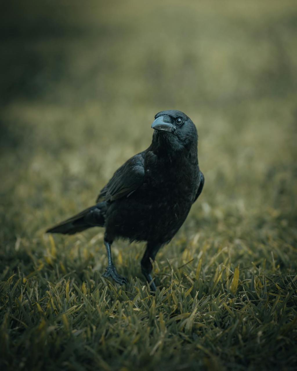 Exploring My Unique Pagan Path and Spiritual&nbsp;Practices